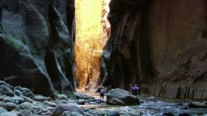 Мадана Мохана Морари