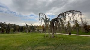 video-output-49F63735-1A80-4B88-A3A3-ED987DB9A142-1