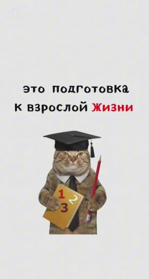 ПОДГОТОВКА К ВЗРОСЛОЙ ЖИЗНИ С КОТЯТАМИ / Как получить чистую Кожу ВСЕГО за 1 Неделю?