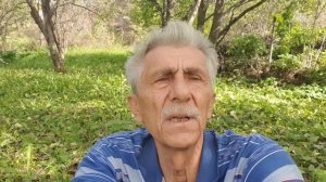 Сентября паутинная нить