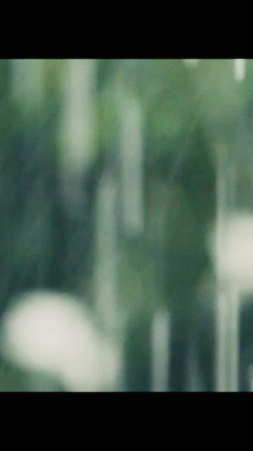 Осень - это Всегда противоречия