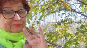 Осенняя прогулка. 18сеньября. Биробиджан