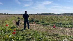 ХНК Албасты Жазира