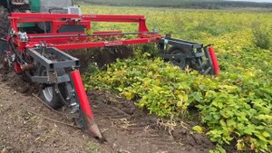 Охота на Кабана