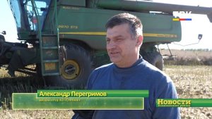 «Чёрное золото» потекло с полей района