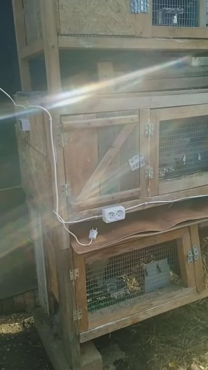 Маточник для кроликов с подогревом.