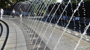 17=09=2025  КРАСНОДАР  ПАРК  ГАЛИЦКОГО.   (110)