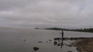 vatravel.ru Исток реки Волхов около Юрьева монастыря (г.Великий Новгород)