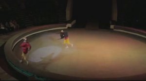 Cirсus Khabarovsk Maxim Trofimov