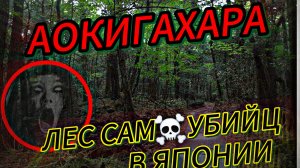 АОКИГАХАРА  / ЛЕС САМОУБИЙЦ В ЯПОНИИ  / ТАЙНЫ  ЛЕСА / ПАРА НОРМАЛЬНЫЕ