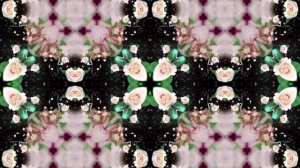 Футажи! Футаж Букеты роз К 5 от Киностудии Мудрого Кота Тимофея!!!