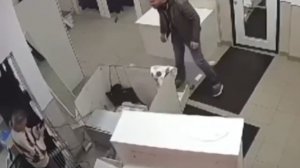 Казань! В Wildberries неадекват начал крушить всё..