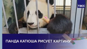 Панда Катюша рисует картину