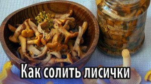 Как правильно солить лисички