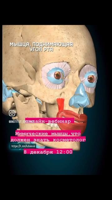 #курсыкосметологов #обучениекосметологов #косметологиямосква #косметологмосква смотреть онлайн