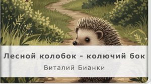 Лесной колобок - колючий бок Виталий Бианки