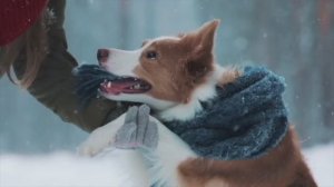 God Rest  - Circa Blue - Екатерина Шелехова