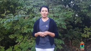 В Карелии участковые уполномоченные полиции, братья-близнецы, нашли в лесу заплутавших грибников