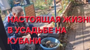 766 Простая жизнь в станице на юге. Дела не заканчиваются.Что мы делаем.