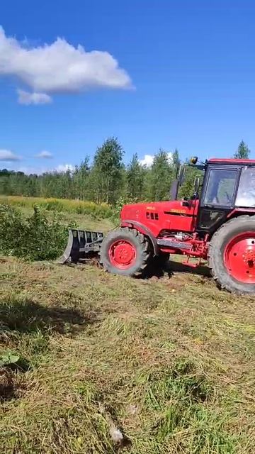 Лесные грабли ЛГ-1,8М Леспромресурс - видео в работе по корчеванию деревьев на МТЗ-82 смотреть онлайн