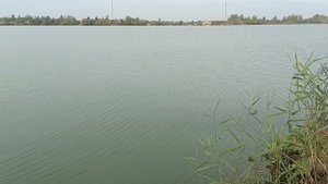 Кудиновский карьер.