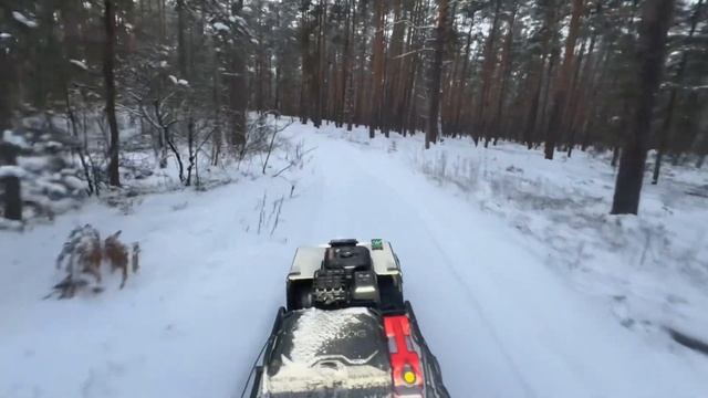 Прогулка на мотобуксировщике Snowdog Wide Z460r очки с подогревом 609  планы на сезон 2025