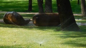 17=09=2025  КРАСНОДАР  ПАРК  ГАЛИЦКОГО.   (107)