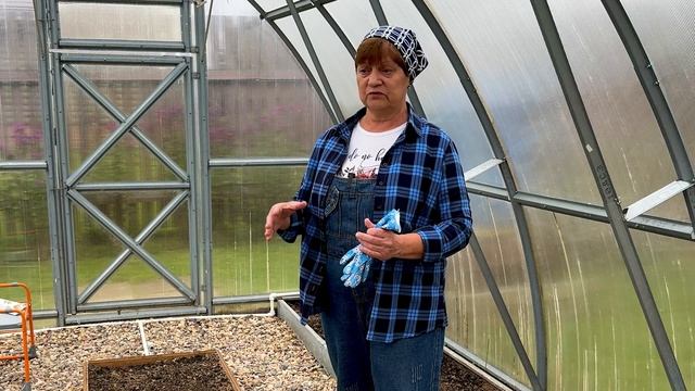 Ни болезней, ни вредителей в теплице не будет.