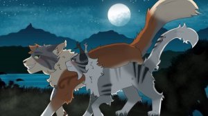 Мой видос 😍🥹🖤краш