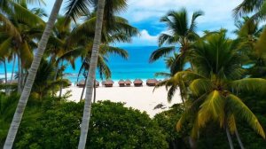 Хиты в Машину #34