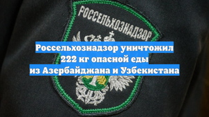 Россельхознадзор уничтожил 222 кг опасной еды из Азербайджана и Узбекистана