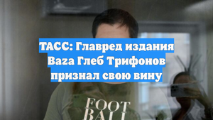 ТАСС: Главред издания Baza Глеб Трифонов признал свою вину