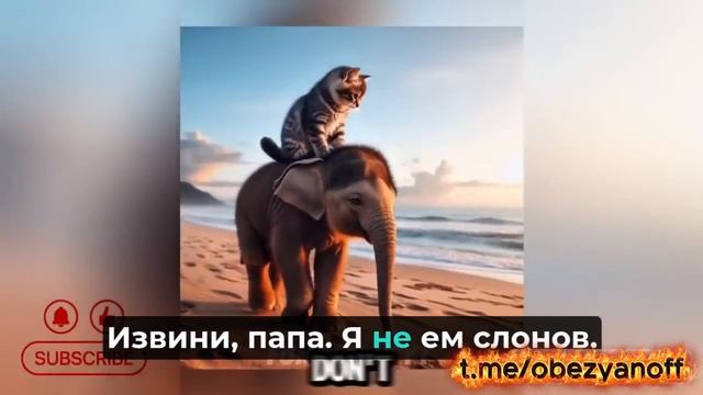 🌟 Приключения безумных котят! ❤️🔥 Забавная подборка с кошками! смотреть онлайн