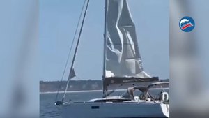 Стая косаток атаковала и потопила яхту у побережья Португалии: все 9 туристов спасены