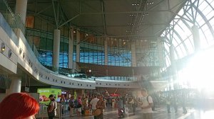 Встречаем Алёну с Аэропорта. Едем в гости, забираем подарок из Сочи и домой.