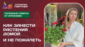 ОСЕННИЙ ПЕРЕНОС ЦВЕТОВ // Ошибки садоводов