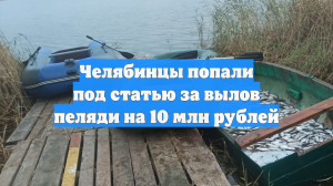 Челябинцы попали под статью за вылов пеляди на 10 млн рублей