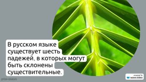 История и происхождение фамилии Абвгдееж: значимость и склонение