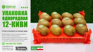 упаковка однорядная 12-киви