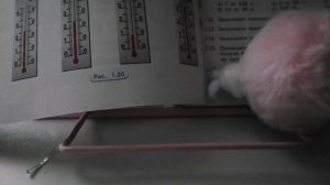 больших роликов теперь не будет места на телефоне нету а на в планшете я не могу зайти в аккаунт