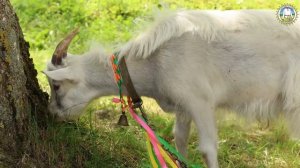 ДК-2025 (ВК - Удивительная провинция. г. Бежецк, Тверская область).