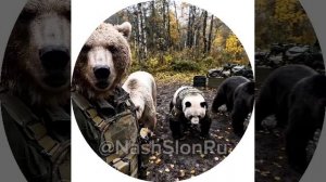 В здоровом теле здоровый дух..