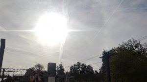 18 день золотой осени....