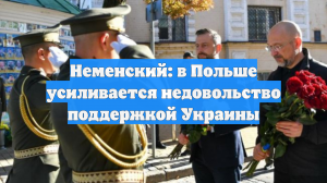 Неменский: в Польше усиливается недовольство поддержкой Украины