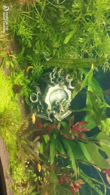 VID_20250918_115751.mp4 смотреть онлайн