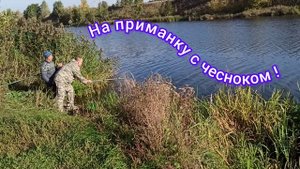 Рыбы нет 🎏🐟 ))))))))))))))))).