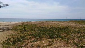 Таиланд 09.03.2020.mp4