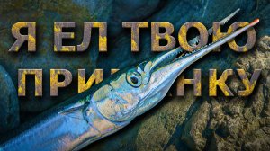 САРГАН БОМБАРДУ крепко цапнул и ПОТАЩИЛ НА ГЛУБИНУ