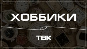 Коллекция погон военнослужащих армий разных стран / «Хоббики»