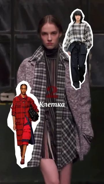 Главные принты осень-зима 2025 2026 #тренды #тренды2025 #трендыосени #советыстилиста #стиль #мода смотреть онлайн